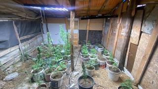 Zahir tacirlerinin kurduğu sistemi jandarma bozdu