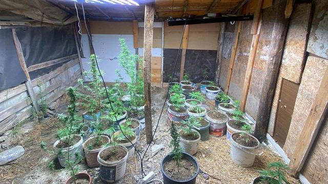 Zahir tacirlerinin kurduğu sistemi jandarma bozdu