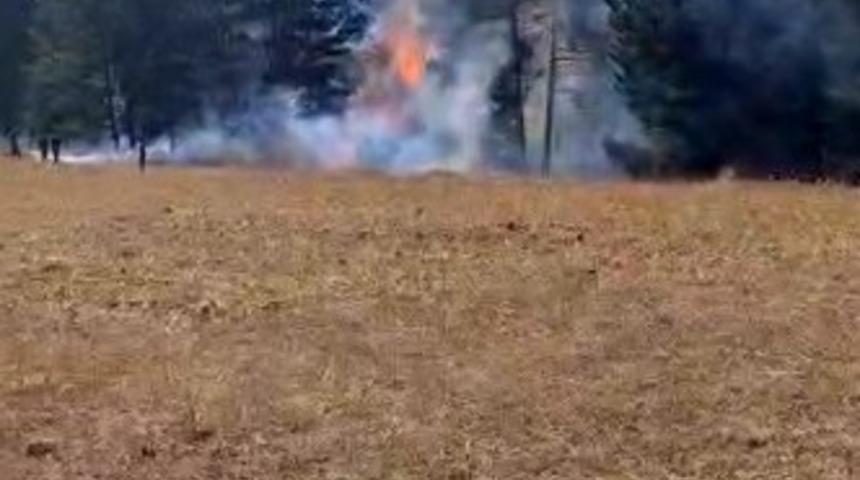 Sarıkamış ormanlarında örtü yangını