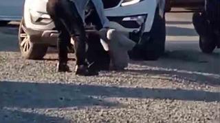 Sokak ortasında öldüresiye dayak kamerada