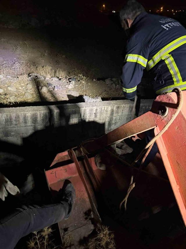 Siirt’te kanala düşen inek kurtarıldı 2