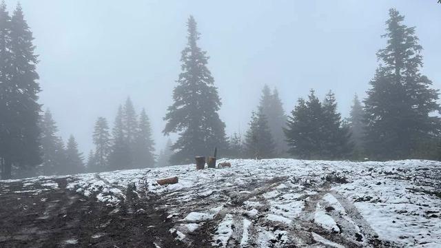 Bartın'ın yüksek kesimlerine kar yağdı