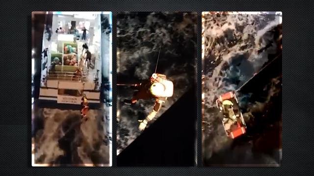 Denizin ortasında hayat mücadelesi! 3 çocuklu aileye saldırdılar: Korkunç orka saldırısı