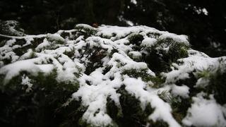 Ilgaz Dağı'nda kar ve sis etkili oldu