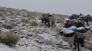 Niğde'de kar yağışı etkili oldu: 4 dağcı mahsur kaldı