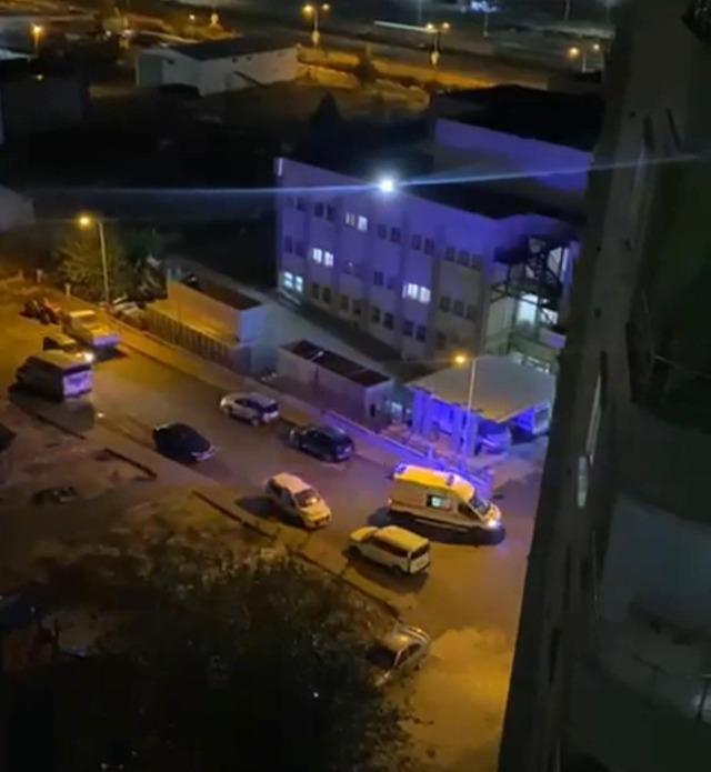 Siirt’te otomobil ile at çarpıştı: 1 yaralı 2