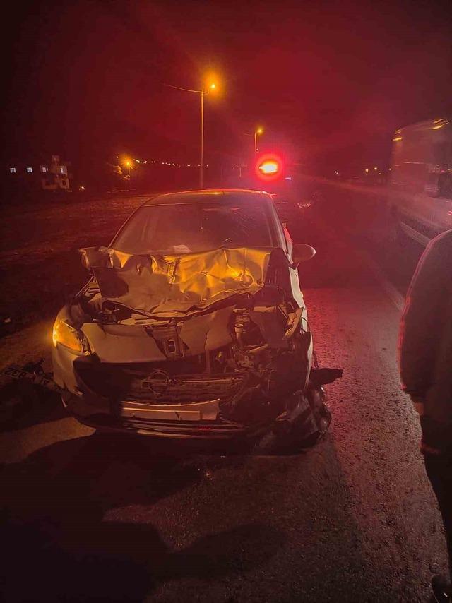 Siirt’te otomobil ile at çarpıştı: 1 yaralı 1