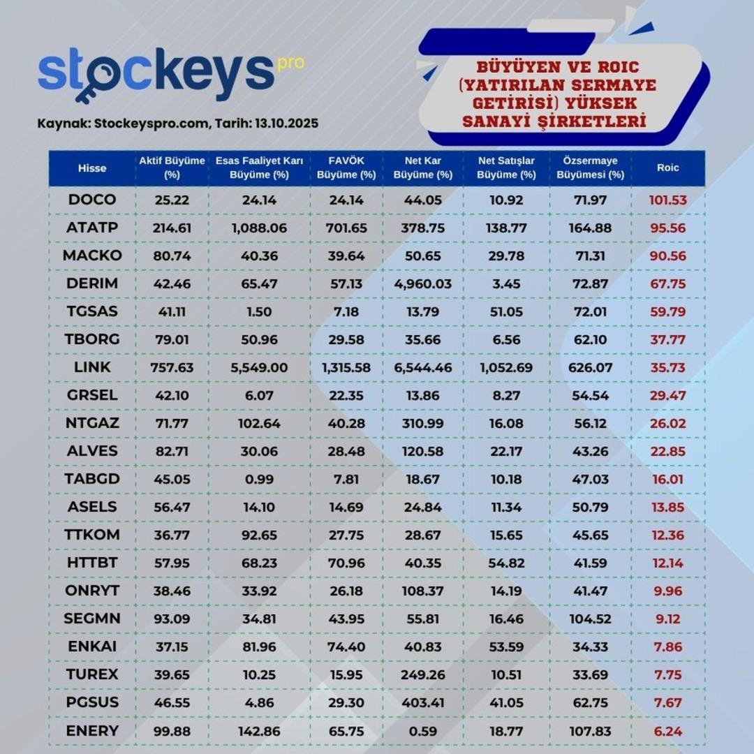 DOCO, LINK, MACKO...İşte ROIC oranı yüksek sanayi şirketleri  1