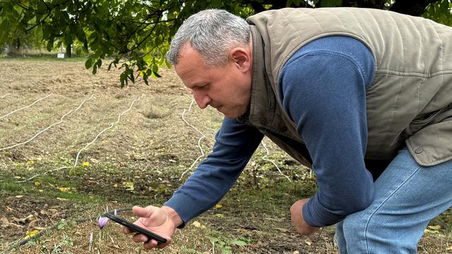 Kilosu 450 bin TL! Dünyanın en pahalısı... Yeni fiyatı belli olacak