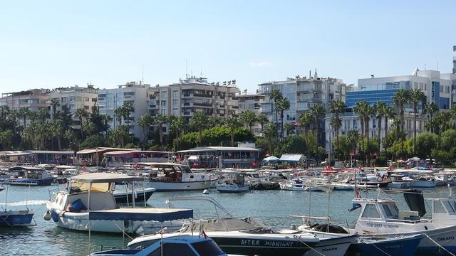 'Kasım sonuna kadar fiyatlar uygun' Bolluk yaşanıyor 'Ülkenin en ucuzlarından' diyerek açıkladı