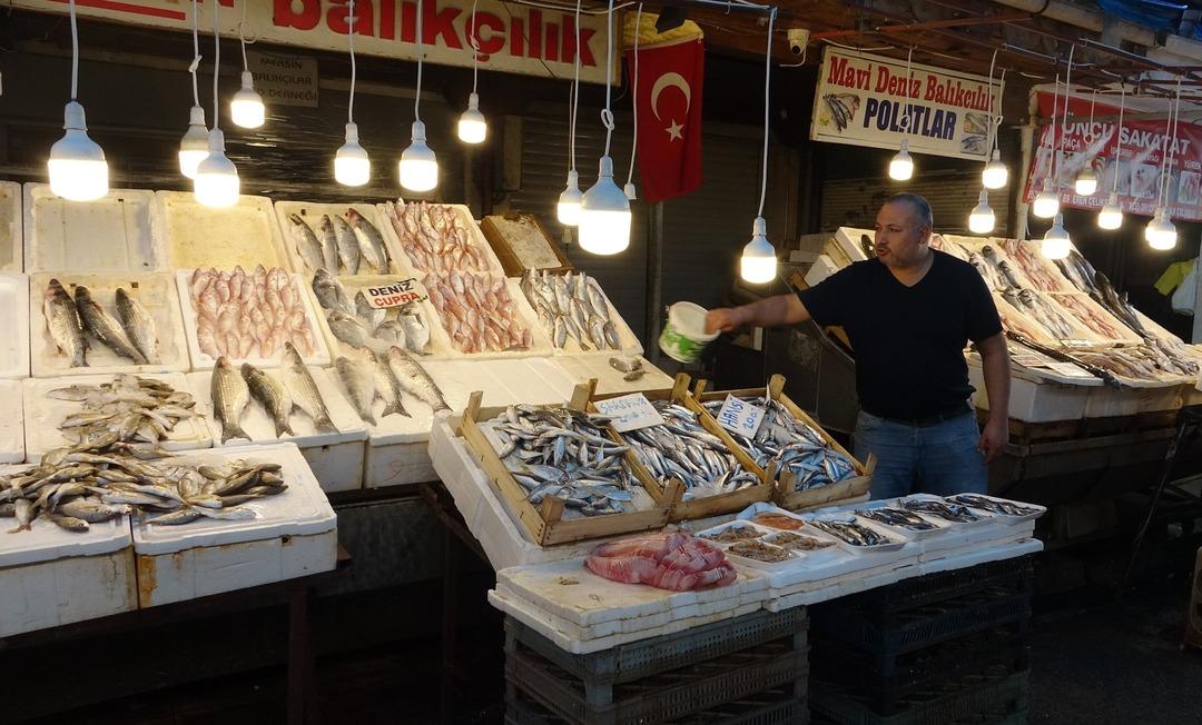  Kasım sonuna kadar fiyatlar uygun  Bolluk yaşanıyor  Ülkenin en ucuzlarından  diyerek açıkladı 2