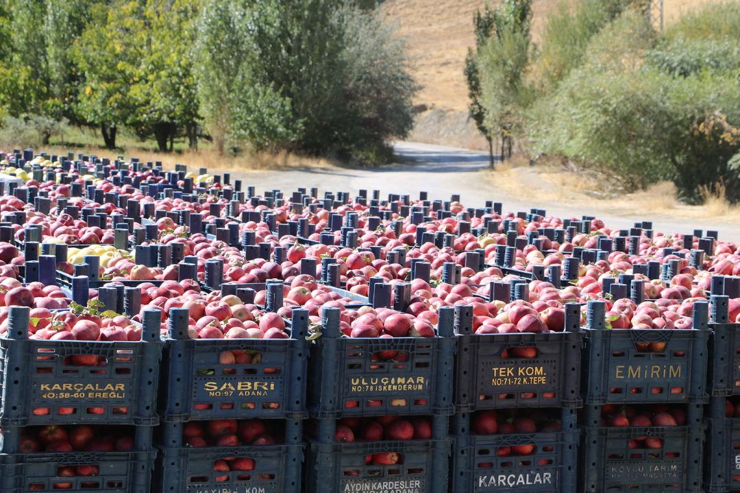 200 ton satılıyor, Türkiye nin dört bir yanına gönderiyorlar!  Talep yetiştirmeye çalışıyoruz  1