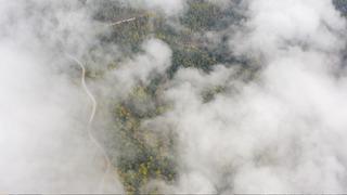 Göz gözü görmedi! Sisle kaplanan Yedigöller yolu dronla görüntülendi