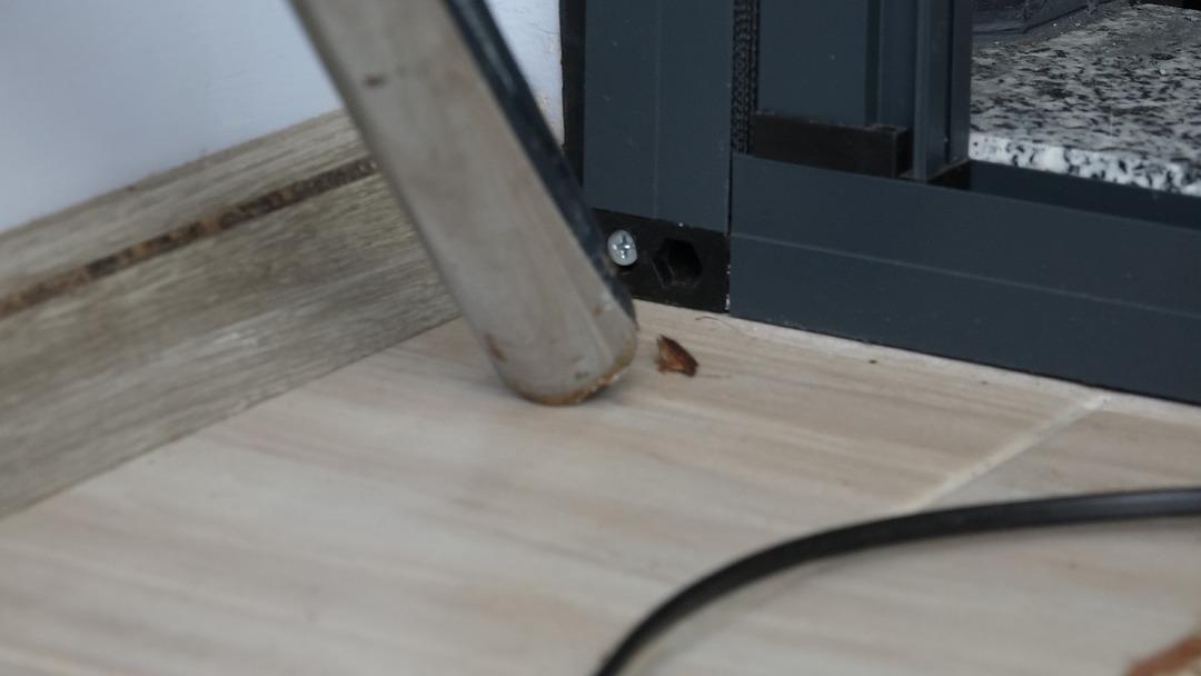 Herkesin kabusu oldu: Kahverengi kokarca ya dokunmayın uyarısı! Sıvısı tehdit ediyor! Karadeniz de hızla yayılıyor: Tarım ve Orman Bakanı açıklama yaptı... 5