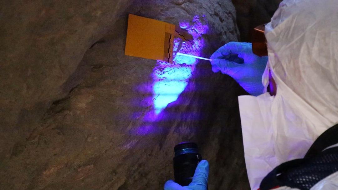 10 yıldır aranıyordu: Enteresan şekilde bulundu! Mağaradan çıktı... DNA lar ikisiyle de eşleşti 8