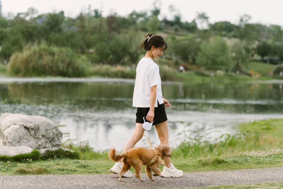 Yeni araştırma: Köpekler kadınlarda yaşlanmayı geciktiriyor! Genç kalmanın sırrı patili dostlar mı? 3