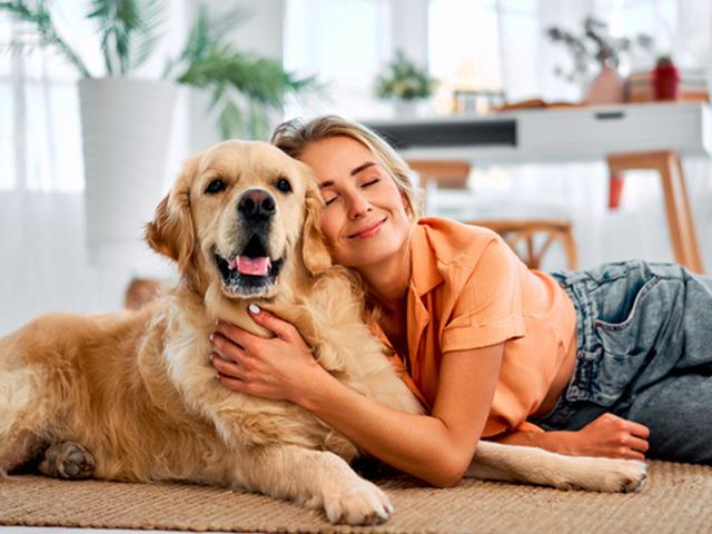 Yeni araştırma: Köpekler kadınlarda yaşlanmayı geciktiriyor! Genç kalmanın sırrı patili dostlar mı?