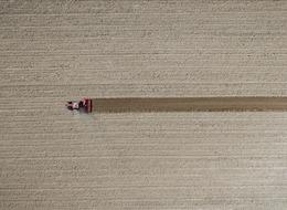 TÜİK: Tarım ürünleri üretici fiyatları eylülde arttı