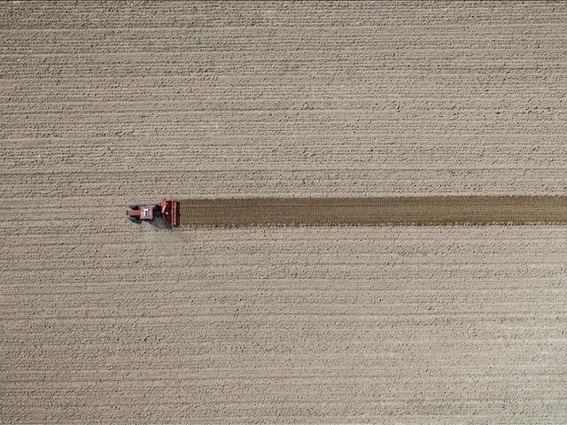 T&Uuml;İK a&ccedil;ıkladı: Tarım &Uuml;FE ocakta aylık bazda y&uuml;zde 8,46 arttı