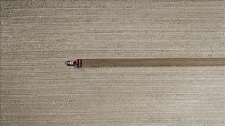 TÜİK: Tarım ürünleri üretici fiyatları eylülde arttı