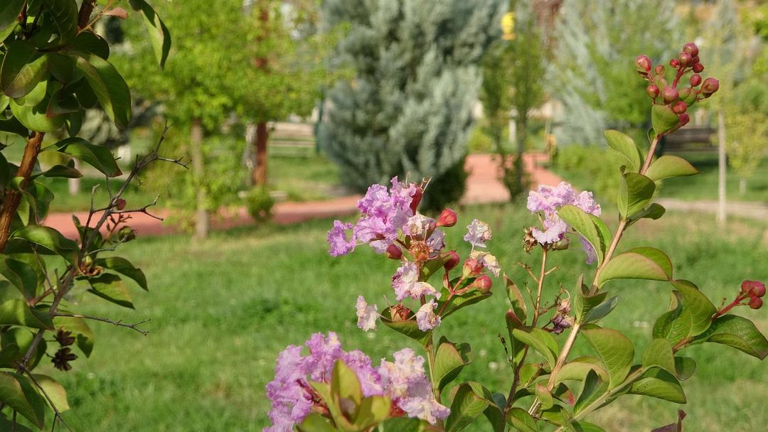 Yaz aylarında nüfus 10 katına çıkıyor! O kent sessizliğe büründü 3