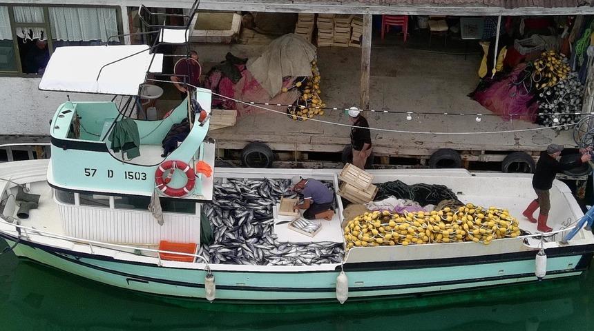 Sinop'ta palamut bolluğu! Küçük teknesiyle yüzlerce balık avladı