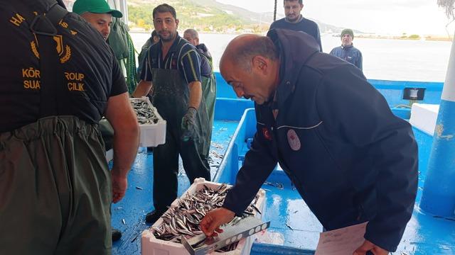 Samsun'da 174 bin 480 kilo hamsiye nakil onayı verildi