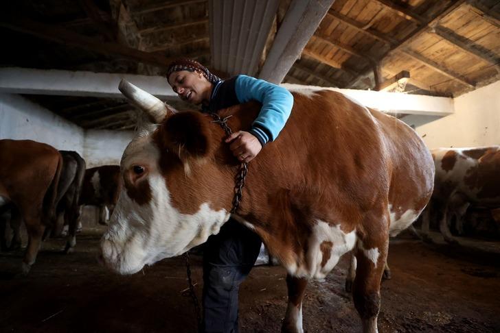 Gelin geldiği köyde başladı, patron oldu! Herkes örnek alıyor, 30'a yükseltti, şimdi tesis kuracak G1