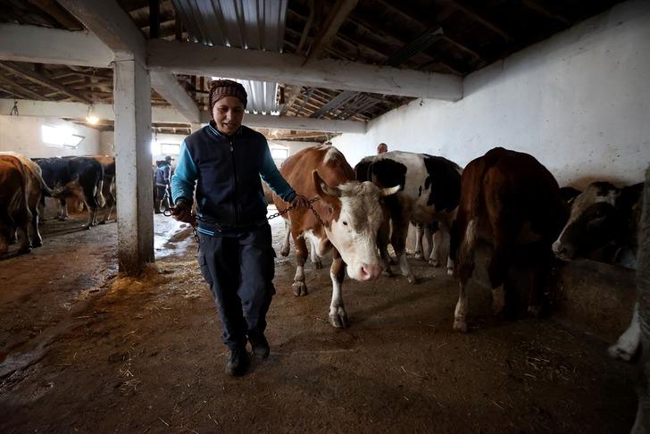 Gelin geldiği köyde başladı, patron oldu! Herkes örnek alıyor, 30'a yükseltti, şimdi tesis kuracak G2