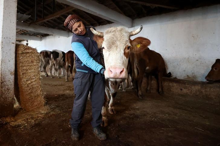 Gelin geldiği köyde başladı, patron oldu! Herkes örnek alıyor, 30'a yükseltti, şimdi tesis kuracak G3
