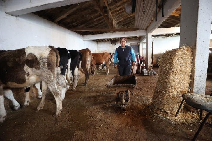 Gelin geldiği köyde başladı, patron oldu! Herkes örnek alıyor, 30'a yükseltti, şimdi tesis kuracak G4