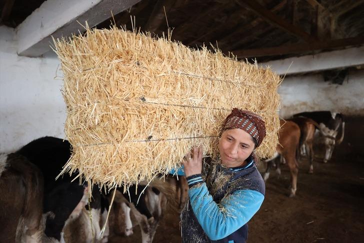 Gelin geldiği köyde başladı, patron oldu! Herkes örnek alıyor, 30'a yükseltti, şimdi tesis kuracak G5