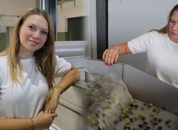 'Daha fazla gelir elde etmek için açtık' Tesis kurdu, topraktan fabrikaya geçti!