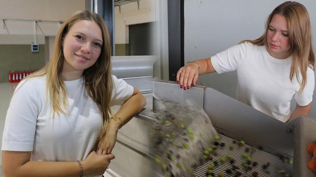 'Daha fazla gelir elde etmek için açtık' Tesis kurdu, topraktan fabrikaya geçti!