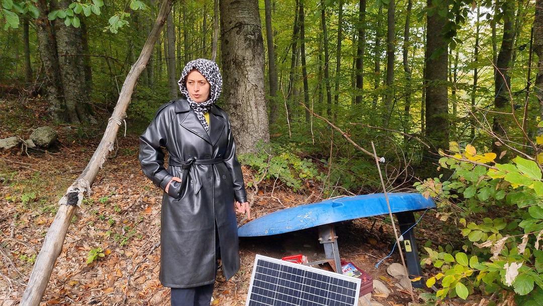 Yer K&uuml;tahya... Kadın &ccedil;ift&ccedil;inin ahududu bah&ccedil;esine ayı baskını: İlk hasadı ayılar yedi! 2