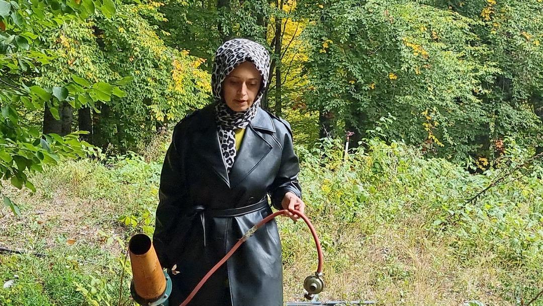 Yer K&uuml;tahya... Kadın &ccedil;ift&ccedil;inin ahududu bah&ccedil;esine ayı baskını: İlk hasadı ayılar yedi! 1