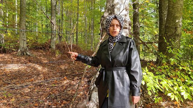 Yer Kütahya... Kadın çiftçinin ahududu bahçesine ayı baskını: İlk hasadı ayılar yedi!