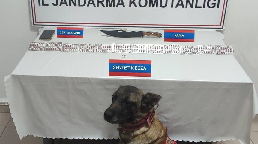 Üzerinde 170 adet uyuşturucu hapla yakalandı
