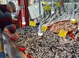 Havalar soğudu, kilosu 100 TL'ye kadar düştü! "Vatandaş bolca alıp yesin"