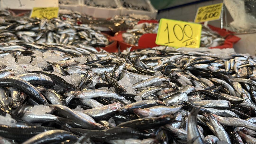 Havalar soğudu, kilosu 100 TL ye kadar düştü! "Vatandaş bolca alıp yesin" 2
