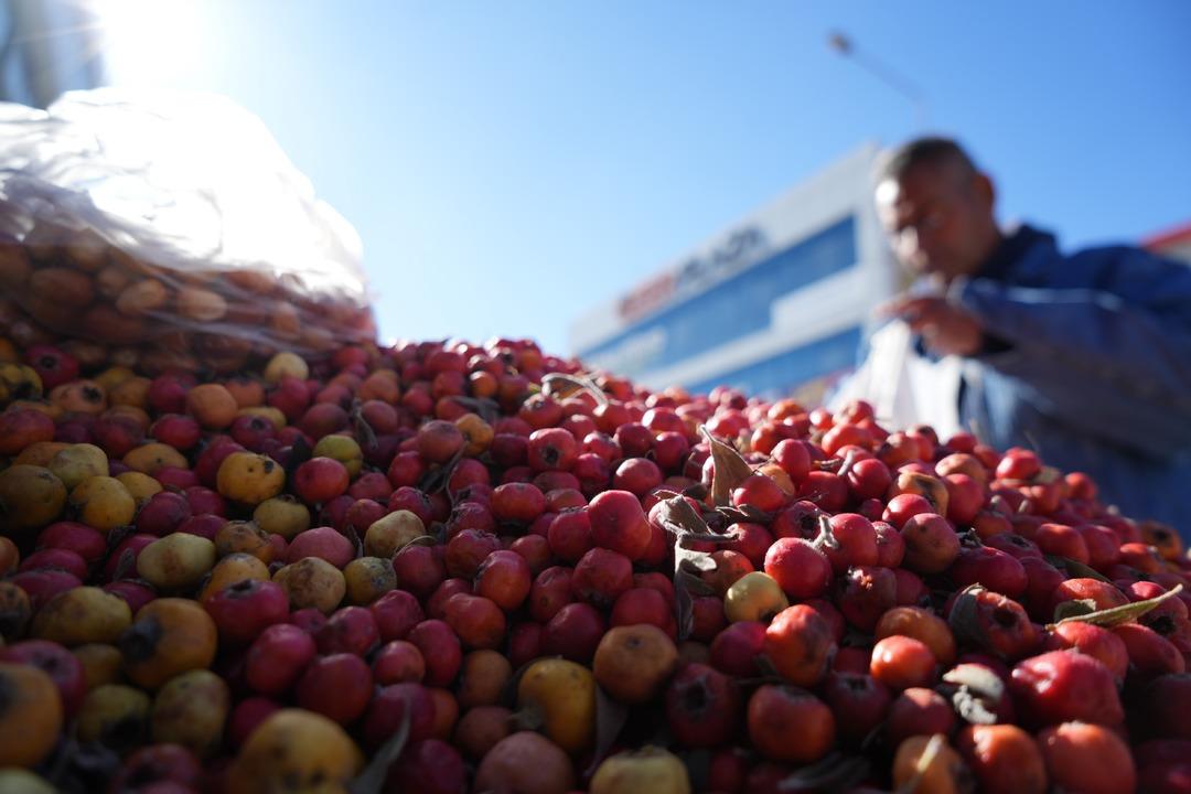 Dağlardan şifa taşıyor: 33 Yıllık tezgahında dağ bitkileriyle şifa dağıtıyor 3