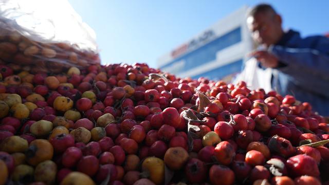Dağlardan şifa taşıyor: 33 Yıllık tezgahında dağ bitkileriyle şifa dağıtıyor