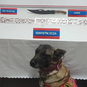 Üzerinde 170 adet uyuşturucu hapla yakalandı