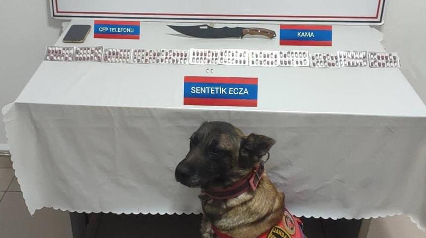 Üzerinde 170 adet uyuşturucu hapla yakalandı