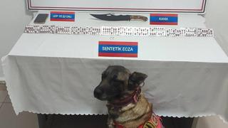 Üzerinde 170 adet uyuşturucu hapla yakalandı