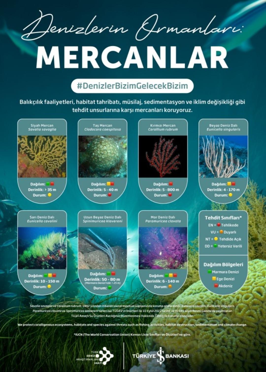 Türkiye İş Bankası Genel Müdür Yardımcısı Suat Sözen  Deniz Projeleri ni anlattı 1