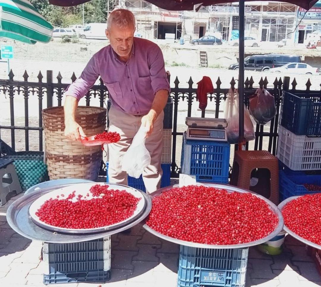 Kilosu 80 TL... Kızılcık tezgahlarında yerini aldı: "Kansere karşı da koruyucu niteliktedir" 1