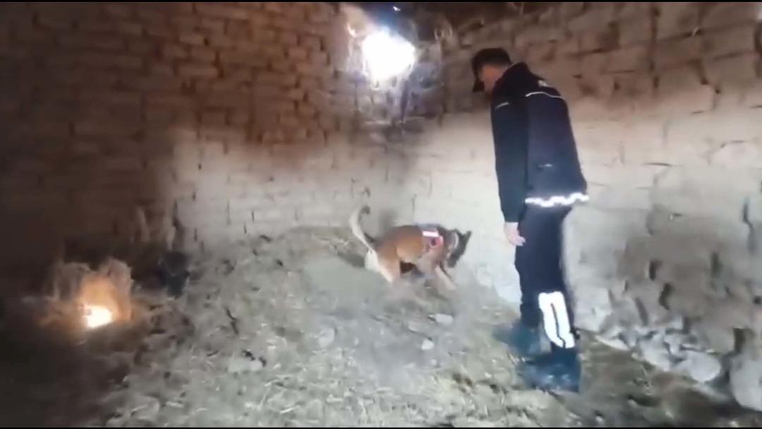 Eskişehir de 14 yıllık cinayet çözüldü! Katili kardeşi çıktı: Evin zeminine gömmüş 4