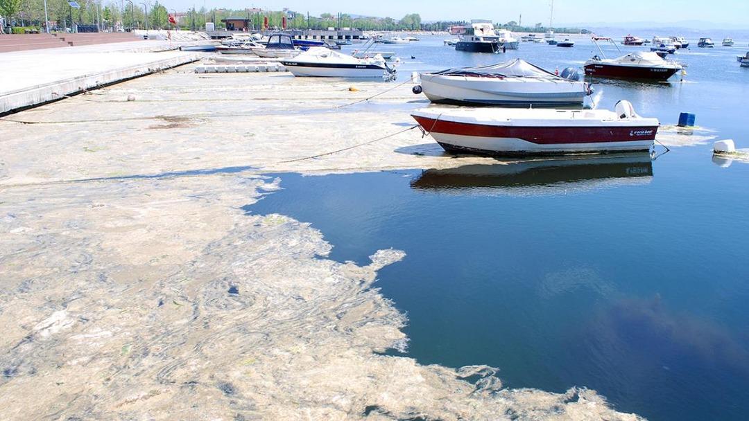 Balıkçılara müjde! 7 il için ilave ödeme yapılacak 2