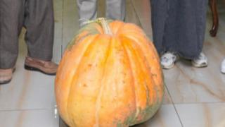 Türkiye'nin en büyüğü! Görenleri hayrete düşürdü! 